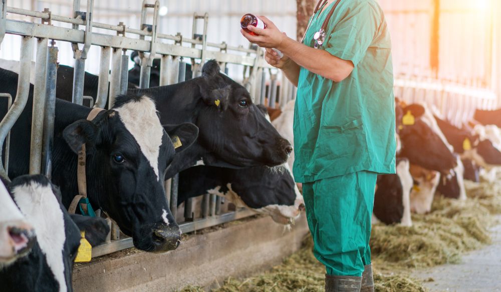 WhatsApp Image 2025-05-10 at 8.46.08 AM (1).jpeg